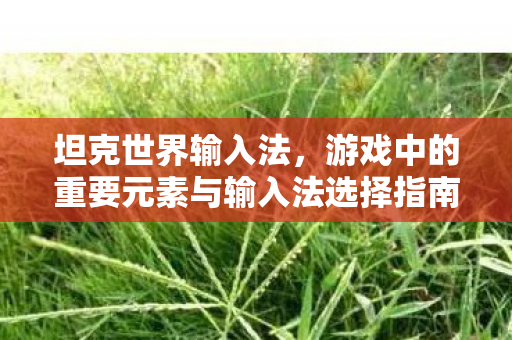 坦克世界输入法，游戏中的重要元素与输入法选择指南