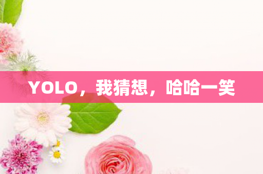 YOLO,我猜想,哈哈一笑 YOLO,我猜想,哈哈一笑