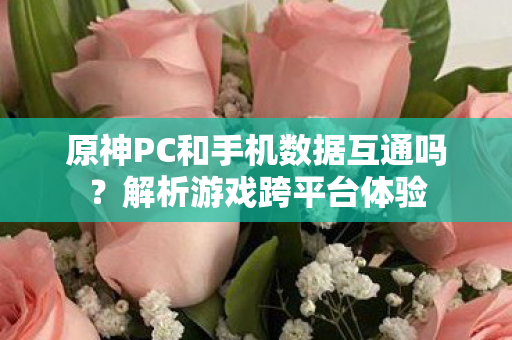 原神PC和手机数据互通吗?解析游戏跨平台体验 原神PC和手机数据互通吗?解析游戏跨平台体验