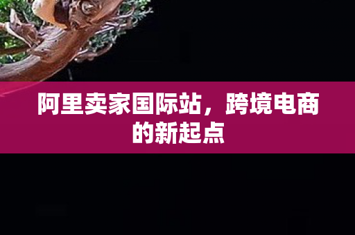 阿里卖家国际站,跨境电商的新起点 阿里卖家国际站,跨境电商的新起点
