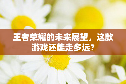 王者荣耀的未来展望,这款游戏还能走多远? 王者荣耀的未来展望,这款游戏还能走多远?