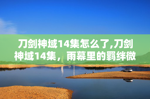 刀剑神域14集怎么了,刀剑神域14集，雨幕里的羁绊微光