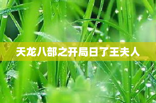 天龙八部之开局日了王夫人 天龙八部之开局日了王夫人