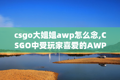 csgo大姐姐awp怎么念,CSGO中受玩家喜爱的AWP皮肤价格浅探