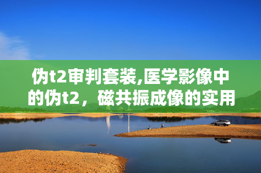 伪t2审判套装,医学影像中的伪t2，磁共振成像的实用补充