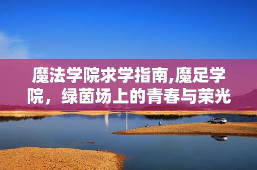 魔法学院求学指南,魔足学院，绿茵场上的青春与荣光