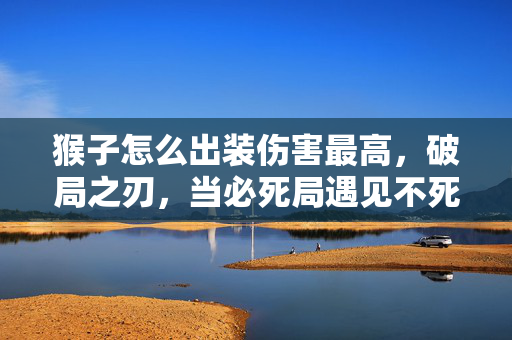猴子怎么出装伤害最高,破局之刃,当必死局遇见不死装,猴子出装悖论撕裂游戏法则 猴子怎么出装伤害最高,破局之刃,当必死局遇见不死装,猴子出装悖论撕裂游戏法则