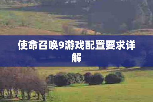 使命召唤9游戏配置要求详解 使命召唤9游戏配置要求详解