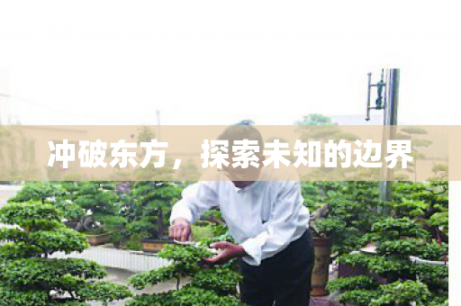 冲破东方,探索未知的边界 冲破东方,探索未知的边界