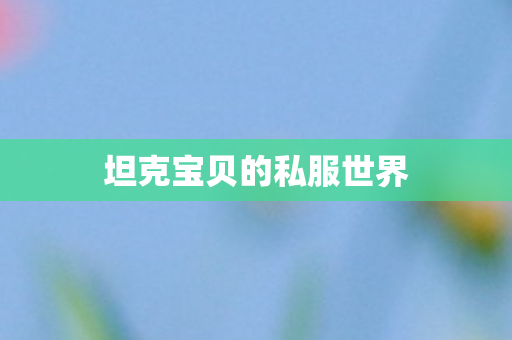 坦克宝贝的私服世界 坦克宝贝的私服世界