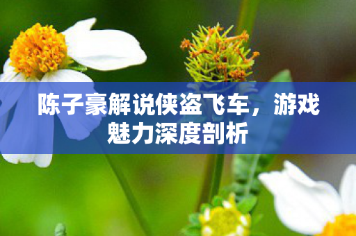 陈子豪解说侠盗飞车,游戏魅力深度剖析 陈子豪解说侠盗飞车,游戏魅力深度剖析