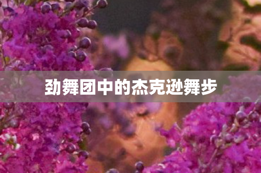 劲舞团中的杰克逊舞步 劲舞团中的杰克逊舞步