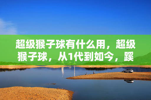 超级猴子球有什么用，超级猴子球，从1代到如今，蹊跷玩法巨变竟藏这秘密！哇塞！