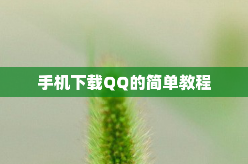 手机下载QQ的简单教程 手机下载QQ的简单教程