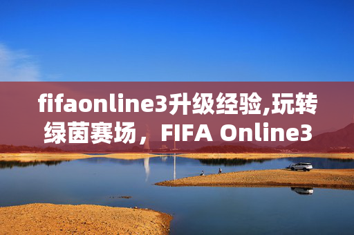 fifaonline3升级经验,玩转绿茵赛场，FIFA Online3激活码的正规获取与使用指南