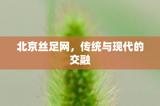 北京丝足网,传统与现代的交融 北京丝足网,传统与现代的交融