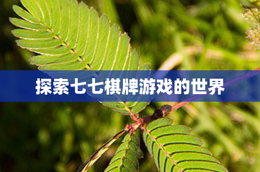 探索七七棋牌游戏的世界 探索七七棋牌游戏的世界