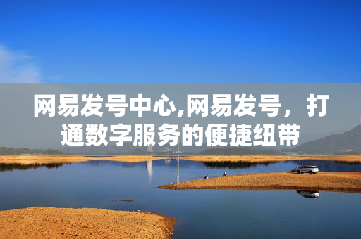 网易发号中心,网易发号,打通数字服务的便捷纽带 网易发号中心,网易发号,打通数字服务的便捷纽带