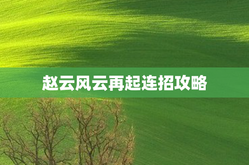赵云风云再起连招攻略 赵云风云再起连招攻略