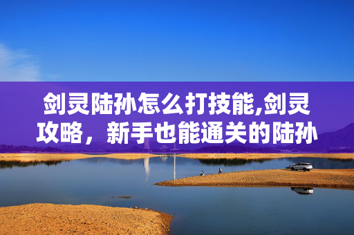 剑灵陆孙怎么打技能,剑灵攻略，新手也能通关的陆孙打法指南