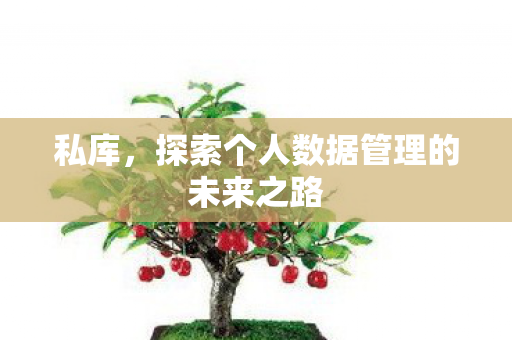 私库,探索个人数据管理的未来之路 私库,探索个人数据管理的未来之路