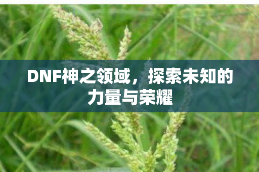 DNF神之领域,探索未知的力量与荣耀 DNF神之领域,探索未知的力量与荣耀