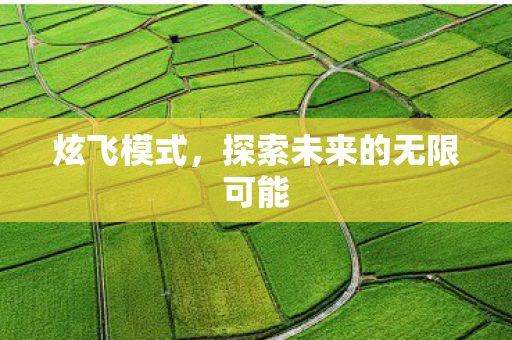 炫飞模式，探索未来的无限可能