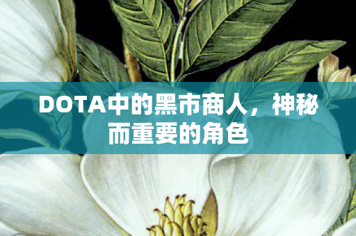 DOTA中的黑市商人,神秘而重要的角色 DOTA中的黑市商人,神秘而重要的角色