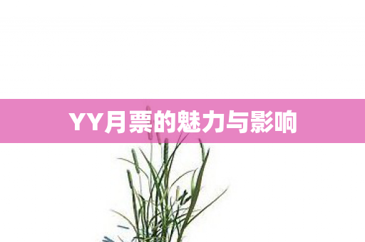 YY月票的魅力与影响 YY月票的魅力与影响