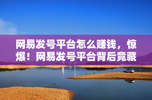 网易发号平台怎么赚钱，惊爆！网易发号平台背后竟藏500万隐情，真相让人吓一跳！