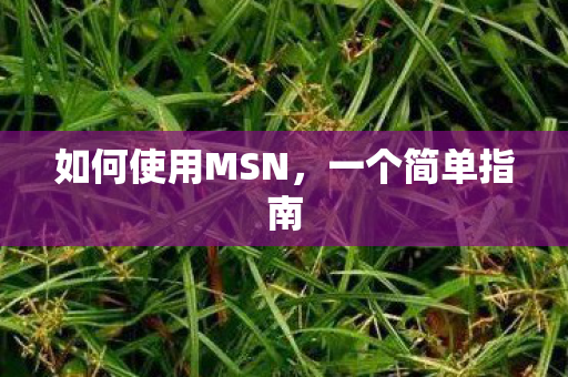 如何使用MSN，一个简单指南