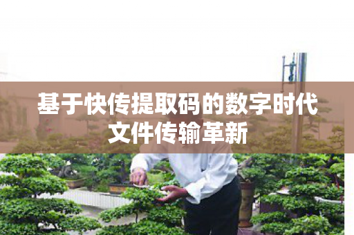 基于快传提取码的数字时代文件传输革新 基于快传提取码的数字时代文件传输革新
