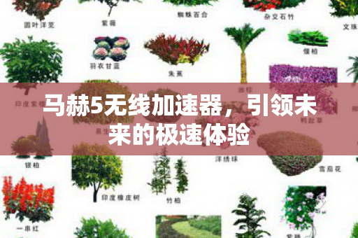 马赫5无线加速器,引领未来的极速体验 马赫5无线加速器,引领未来的极速体验