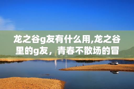 龙之谷g友有什么用,龙之谷里的g友，青春不散场的冒险伙伴