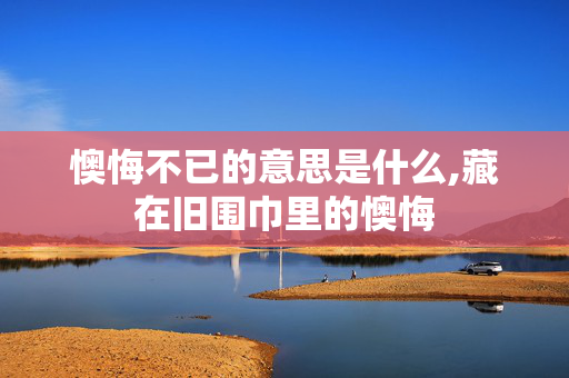 懊悔不已的意思是什么,藏在旧围巾里的懊悔
