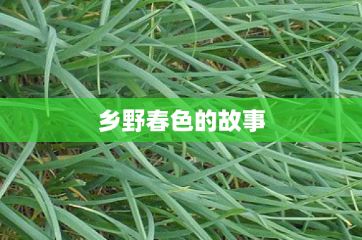 乡野春色的故事