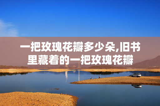 一把玫瑰花瓣多少朵,旧书里藏着的一把玫瑰花瓣