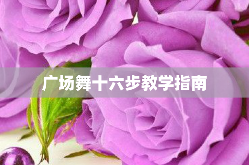 广场舞十六步教学指南
