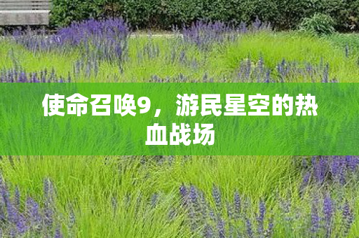 使命召唤9,游民星空的热血战场 使命召唤9,游民星空的热血战场