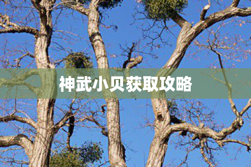 神武小贝获取攻略 神武小贝获取攻略