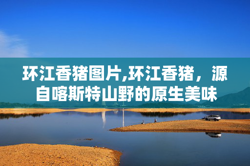 环江香猪图片,环江香猪，源自喀斯特山野的原生美味