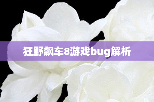 狂野飙车8游戏bug解析 狂野飙车8游戏bug解析