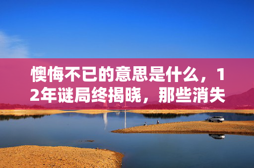 懊悔不已的意思是什么,12年谜局终揭晓,那些消失的代码为何让开发者泪目? 懊悔不已的意思是什么,12年谜局终揭晓,那些消失的代码为何让开发者泪目?