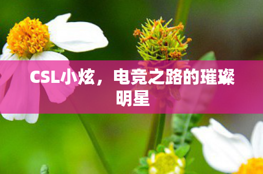 CSL小炫,电竞之路的璀璨明星 CSL小炫,电竞之路的璀璨明星