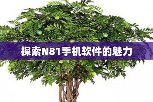 探索N81手机软件的魅力 探索N81手机软件的魅力