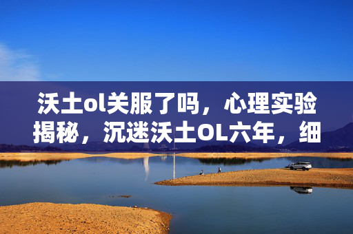 沃土ol关服了吗，心理实验揭秘，沉迷沃土OL六年，细思极恐的自我麻醉之旅