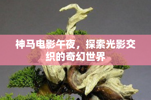 神马电影午夜,探索光影交织的奇幻世界 神马电影午夜,探索光影交织的奇幻世界