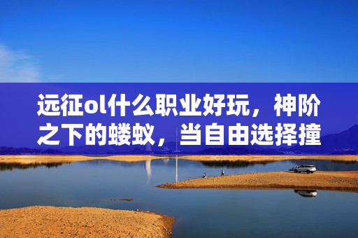 远征ol什么职业好玩，神阶之下的蝼蚁，当自由选择撞碎命运枷锁，谁在操控你的灵魂震颤？