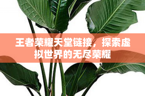 王者荣耀天堂链接,探索虚拟世界的无尽荣耀 王者荣耀天堂链接,探索虚拟世界的无尽荣耀