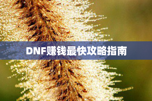 DNF赚钱最快攻略指南 DNF赚钱最快攻略指南